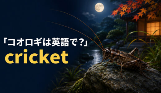 コオロギは英語で？cricketの発音・鳴き声とバッタ、キリギリスとの違い