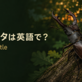 木の幹にとまるクワガタと「クワガタは英語で? stag beetle」の文字