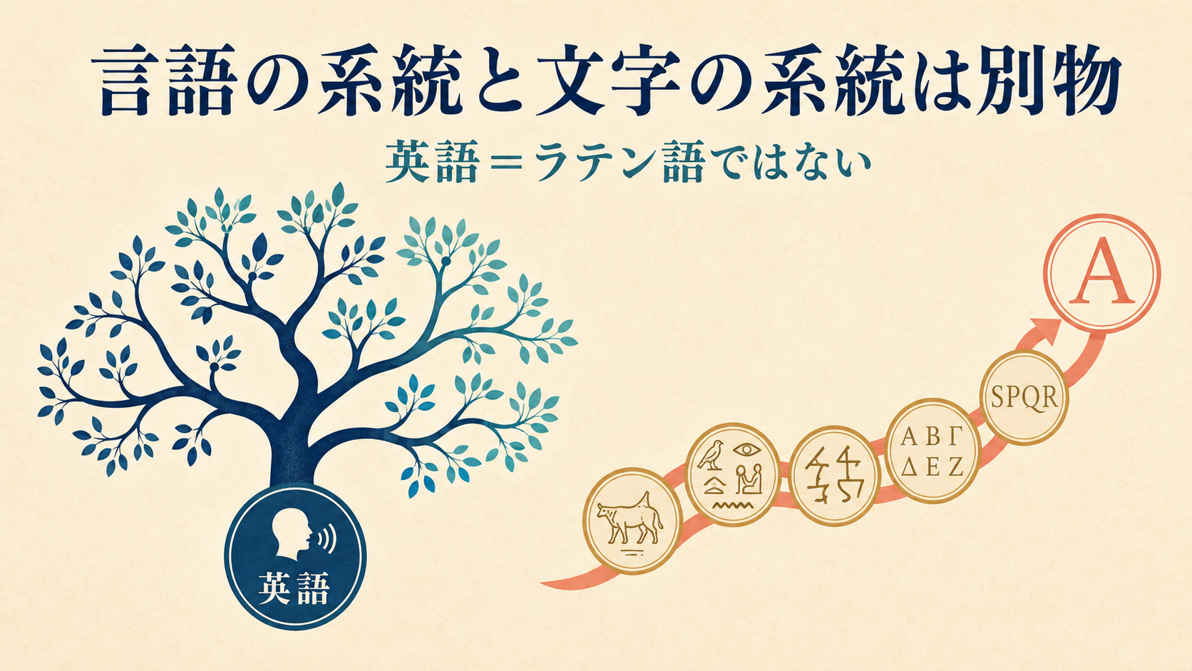 英語の言語系統とラテン文字の歴史が別であることを示す図