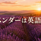 北海道を思わせるラベンダー畑に「ラベンダーは英語で？」と記したアイキャッチ
