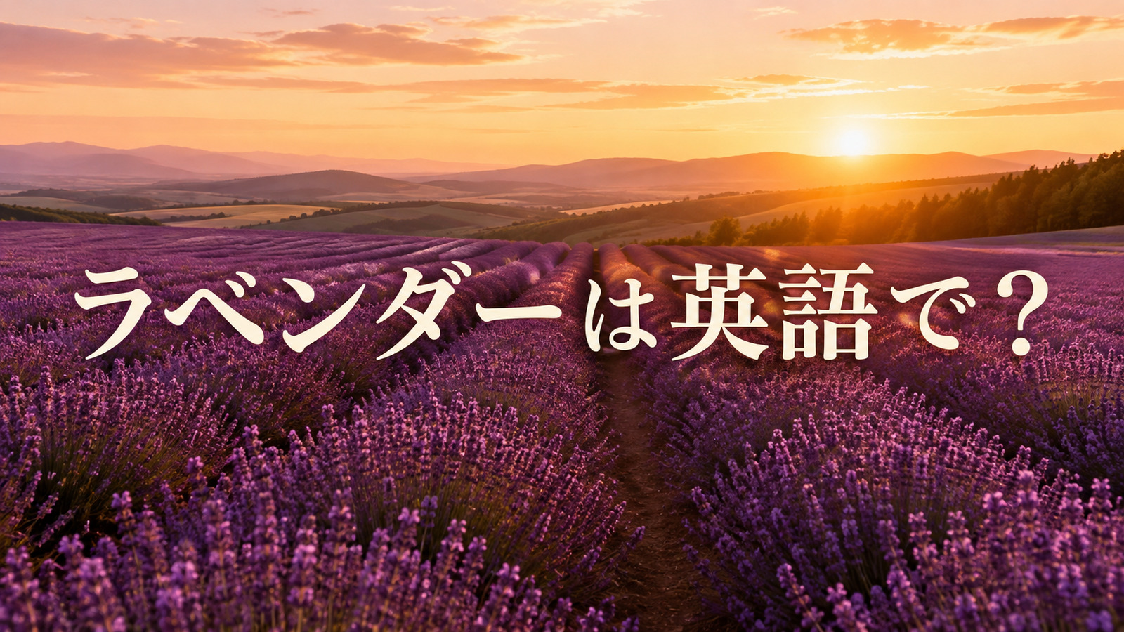 北海道を思わせるラベンダー畑に「ラベンダーは英語で?」と記したアイキャッチ