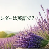 ラベンダー畑と花束、「ラベンダーは英語で?」の文字