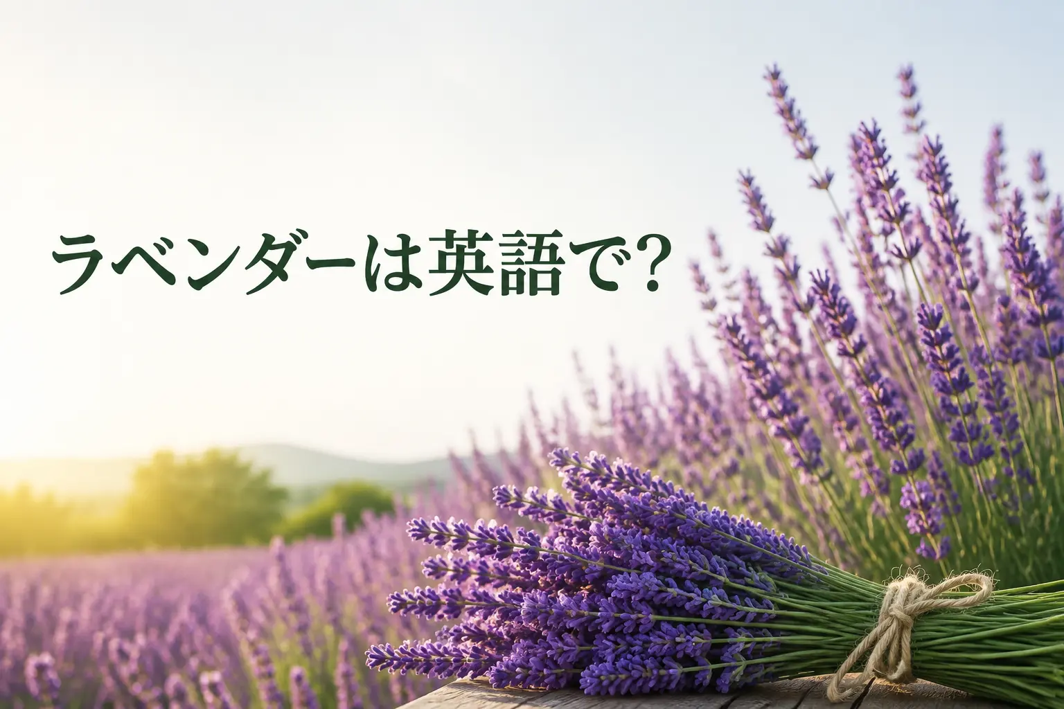 ラベンダー畑と花束、「ラベンダーは英語で?」の文字