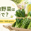 葉物野菜は英語でleafy vegetables・leafy greensと示す横長アイキャッチ