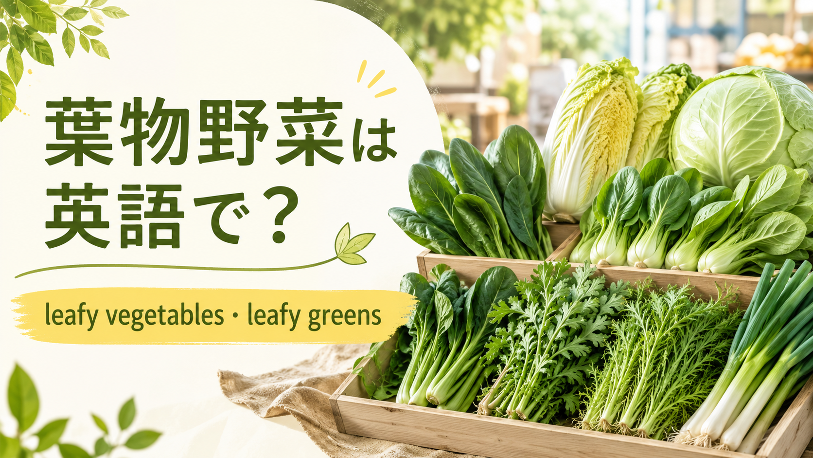 葉物野菜は英語でleafy vegetables・leafy greensと示す横長アイキャッチ