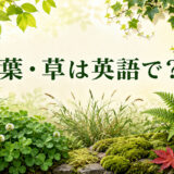 葉・草は英語で？ leaf・leaves・grass・weedの違い