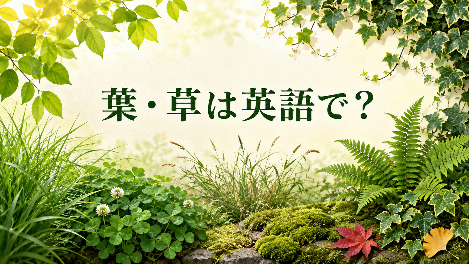 葉・草は英語で？ leaf・leaves・grass・weedの違い
