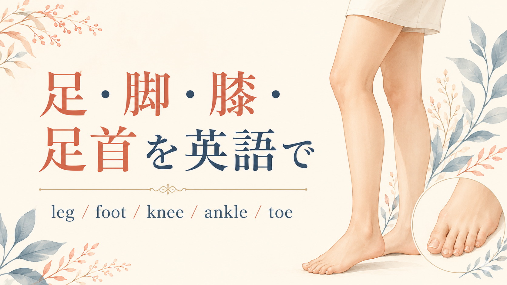 足・脚・膝・足首・つま先を英語で学ぶ記事のアイキャッチ