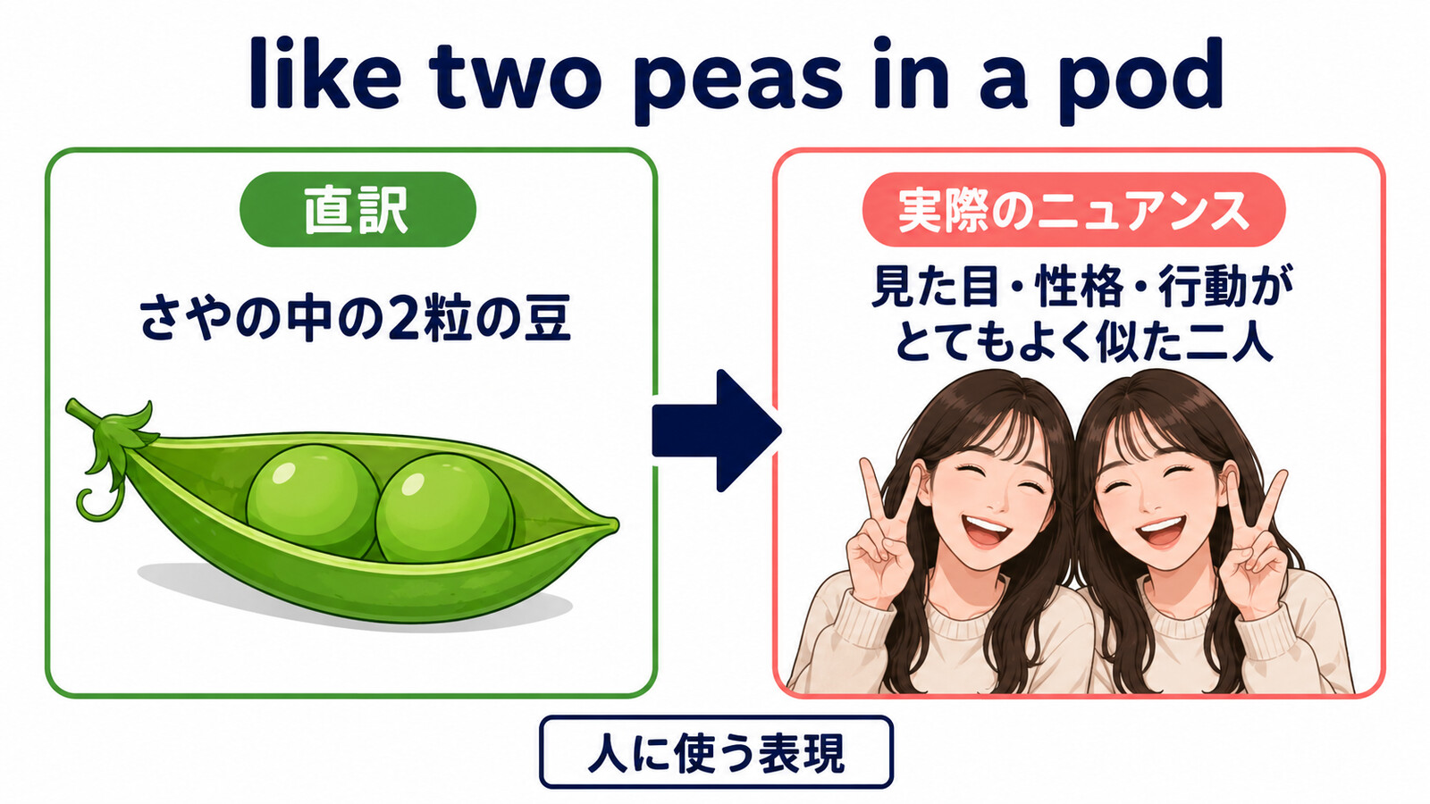 like two peas in a podの直訳と実際のニュアンスの比較