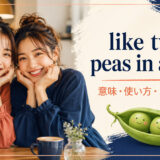 like two peas in a podの意味・使い方・ニュアンス