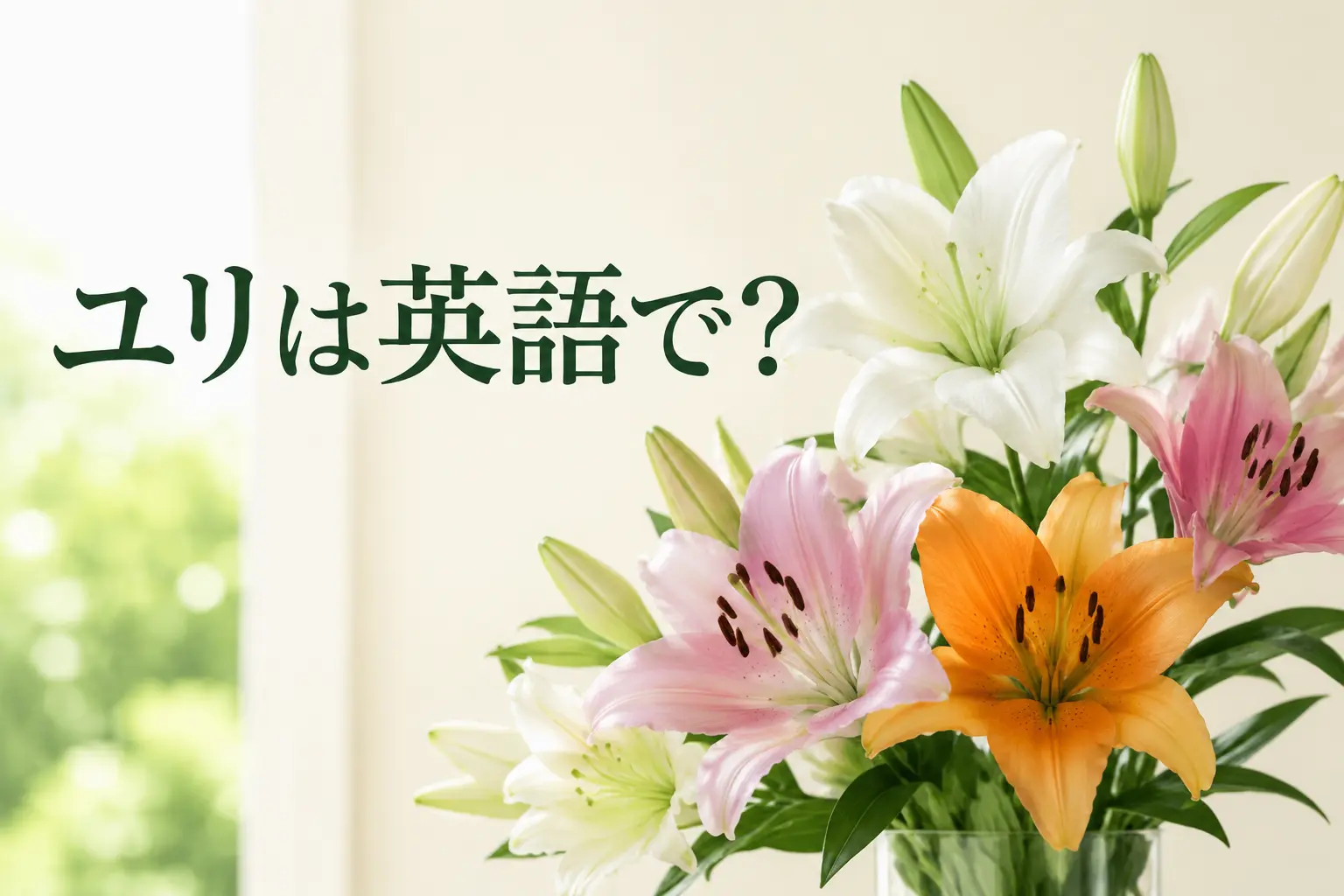 白・ピンク・オレンジ色のユリと「ユリは英語で?」の文字