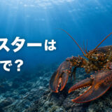 海底のロブスターと「ロブスターは英語で?」の文字