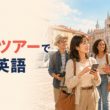 海外の現地ツアーで予約画面を見せながらガイドに英語で確認する日本人旅行者