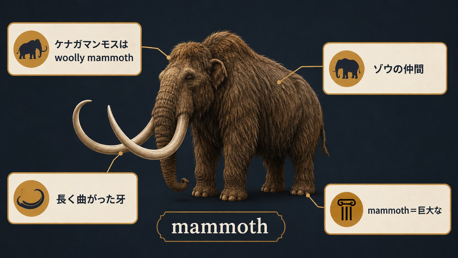 mammothはマンモス、woolly mammothはケナガマンモスを指し、ゾウの仲間で長く曲がった牙を持ち、形容詞では巨大なを意味することを示す図