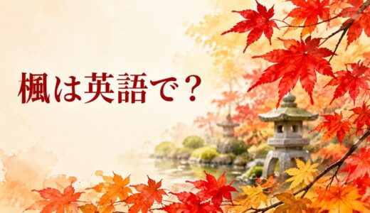 楓・カエデ・モミジは英語で？mapleの発音・語源、Japanese mapleとの違い