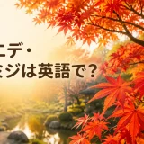 カエデ・モミジは英語でmapleと紹介する記事のアイキャッチ