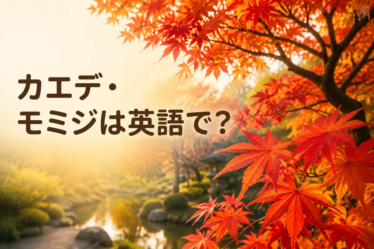 カエデ・モミジは英語でmapleと紹介する記事のアイキャッチ