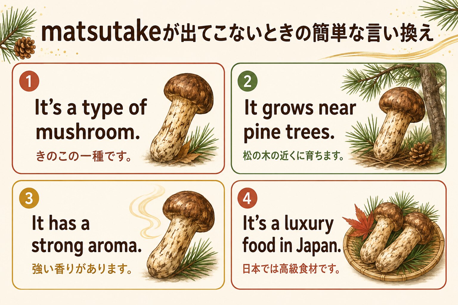 松茸を初心者向けの簡単な英語4文で説明する図解