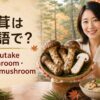 松茸を手にmatsutake mushroomとpine mushroomを学ぶ日本人女性