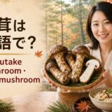 松茸を手にmatsutake mushroomとpine mushroomを学ぶ日本人女性