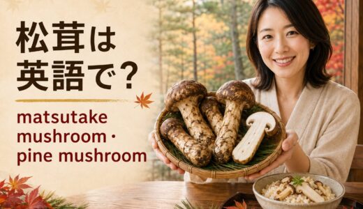 松茸は英語で？matsutake mushroom・pine mushroomと料理の表現