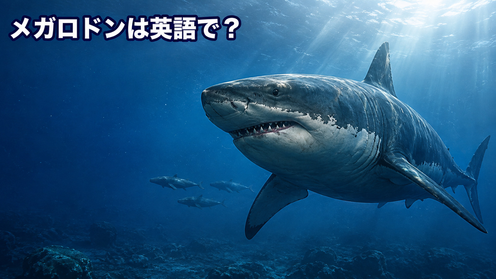 先史時代の海を泳ぐメガロドンと「メガロドンは英語で？」の文字