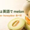 メロンは英語でmelonと学ぶ、網目メロン、cantaloupe、honeydewの果肉を比較した画像