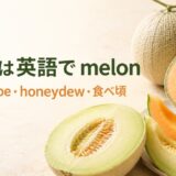 メロンは英語でmelonと学ぶ、網目メロン、cantaloupe、honeydewの果肉を比較した画像
