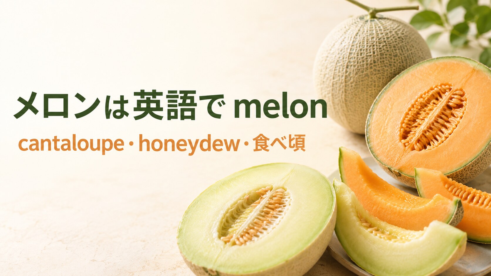 メロンは英語でmelonと学ぶ、網目メロン、cantaloupe、honeydewの果肉を比較した画像