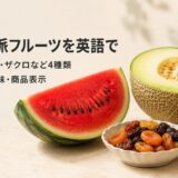 すいか・メロン・ザクロ・ドライフルーツの英語名・数え方・味・商品表示を紹介する画像