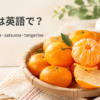 皮をむいた温州みかんと丸ごとのみかんでmandarin orange・satsuma・tangerineを学ぶアイキャッチ