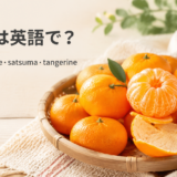 皮をむいた温州みかんと丸ごとのみかんでmandarin orange・satsuma・tangerineを学ぶアイキャッチ