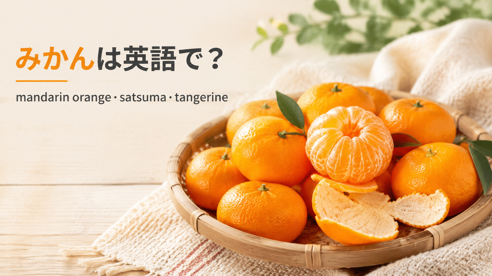 皮をむいた温州みかんと丸ごとのみかんでmandarin orange・satsuma・tangerineを学ぶアイキャッチ