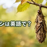 木の枝から下がるミノムシと「ミノムシは英語で？」の文字