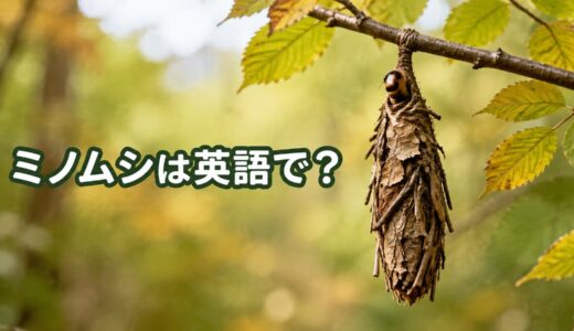 ミノムシは英語で？bagwormの発音・名前の由来・蛾になるまで