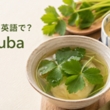 三つ葉は英語でmitsubaと紹介する記事のアイキャッチ