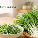 水菜は英語でmizunaと伝えるアイキャッチ