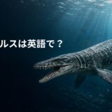 海を泳ぐモササウルスと「モササウルスは英語で？」の文字