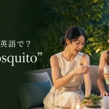 蚊は英語でmosquitoと紹介する夏の夕方に虫よけを使う女性たち