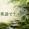 雨上がりの苔庭と石灯籠に「苔は英語で？」と記したアイキャッチ