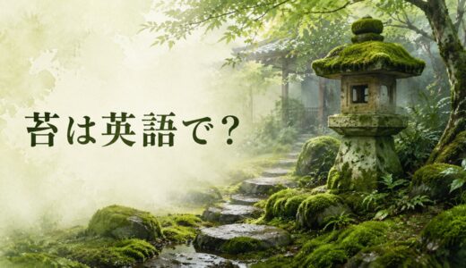 苔は英語で？mossの発音・語源、mossy・bryophyteとの違いと日本文化