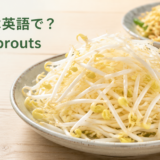 もやしは英語でbean sproutsと説明する記事のアイキャッチ
