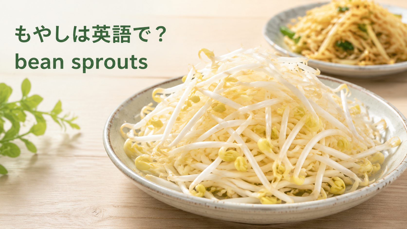 もやしは英語でbean sproutsと説明する記事のアイキャッチ