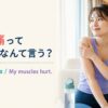 筋肉痛って英語でなんて言う？sore musclesとMy muscles hurt.のアイキャッチ
