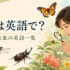 虫は英語で？昆虫・てんとう虫・幼虫など身近な虫の一覧
