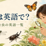 虫は英語で?昆虫・てんとう虫・幼虫など身近な虫の一覧