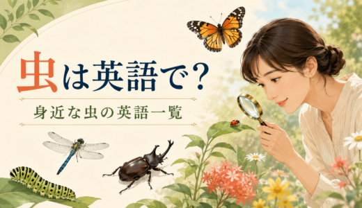 虫は英語で？昆虫・てんとう虫・幼虫など身近な虫の一覧