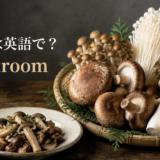 きのこは英語でmushroomと示した、しいたけ・しめじ・えのき・舞茸・エリンギの画像