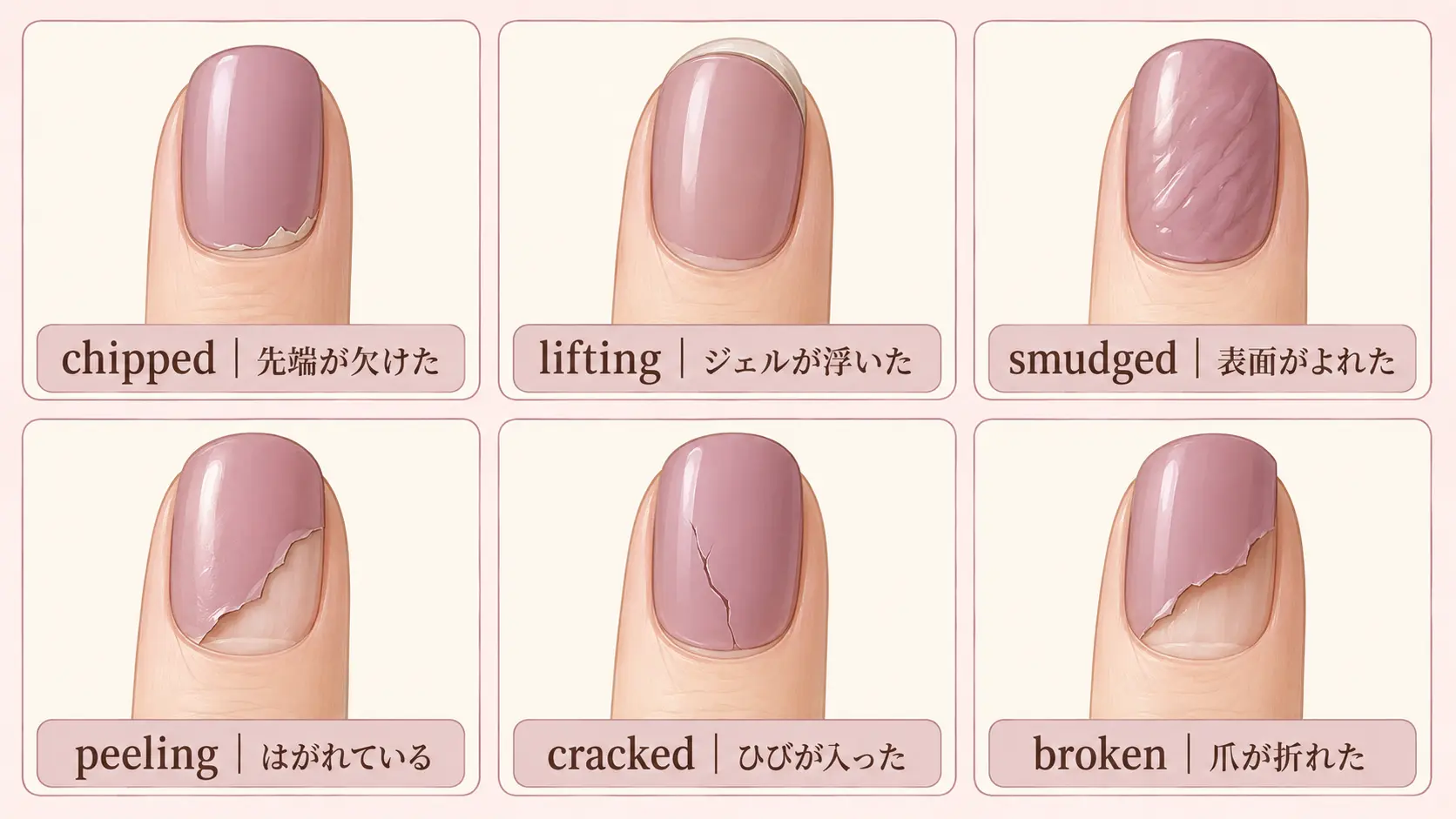 chipped・lifting・smudged・peeling・cracked・brokenの違い