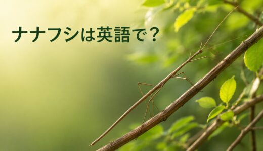 ナナフシは英語で？stick insect・walking stickの違いと擬態・成長